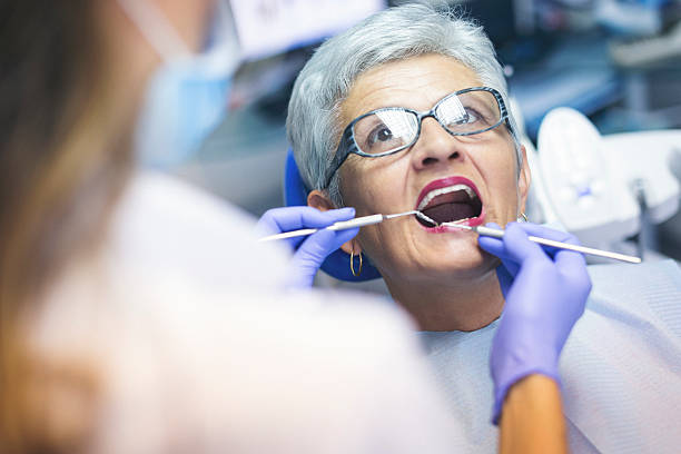 Professional Holistic Dental Care Services in Olympia, WA
